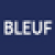 bleu_fonce_601430bleuf